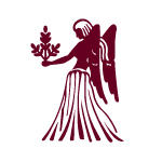 The Practicality of the Virgo Man